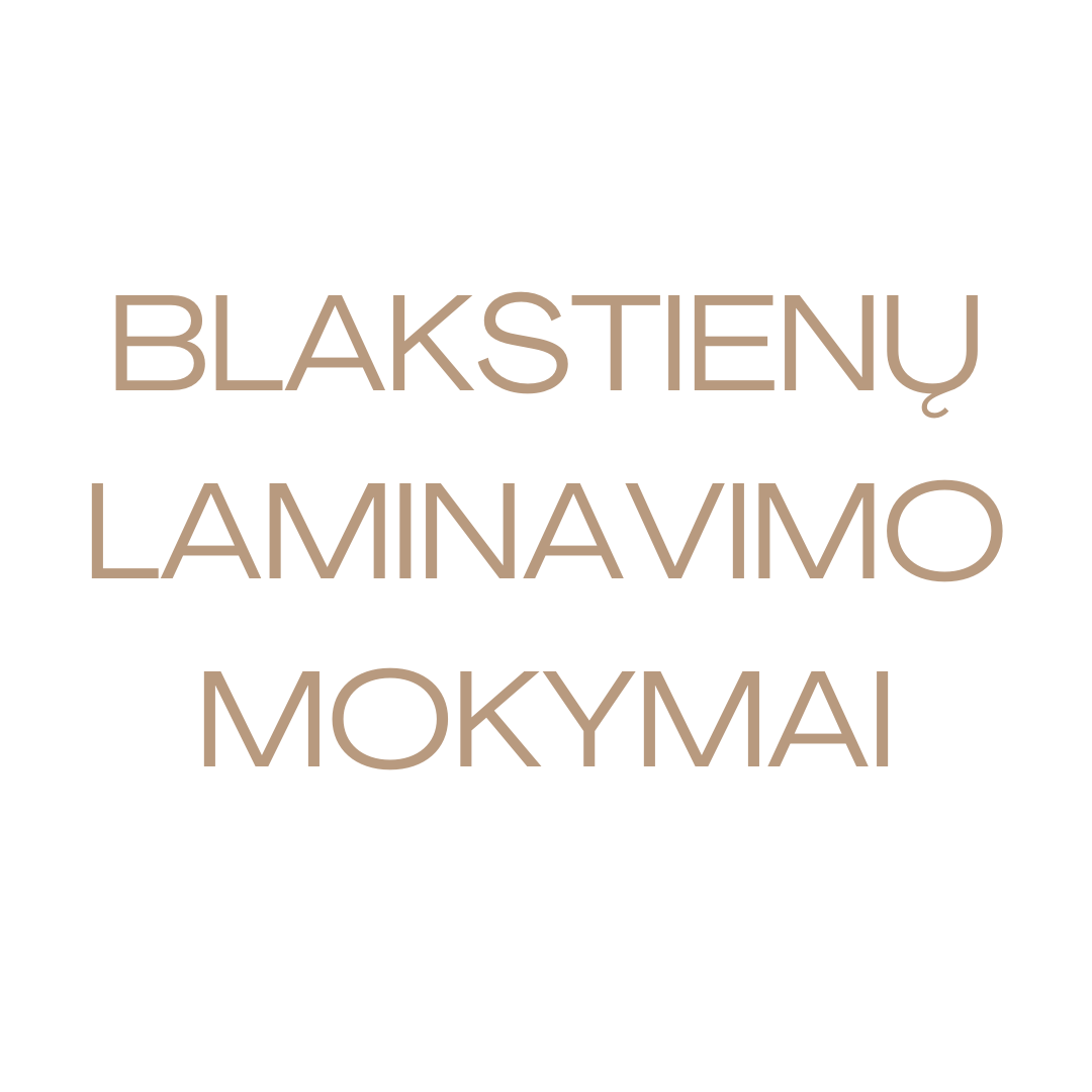 Blakstienų laminavimo mokymai